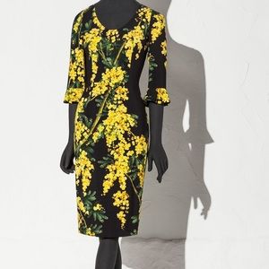 Dolce and Gabbana Acacia dress NWT size 40
